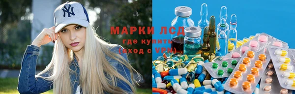 apvp Касимов